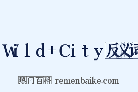 Wild+City反义词是什么意思的图片
